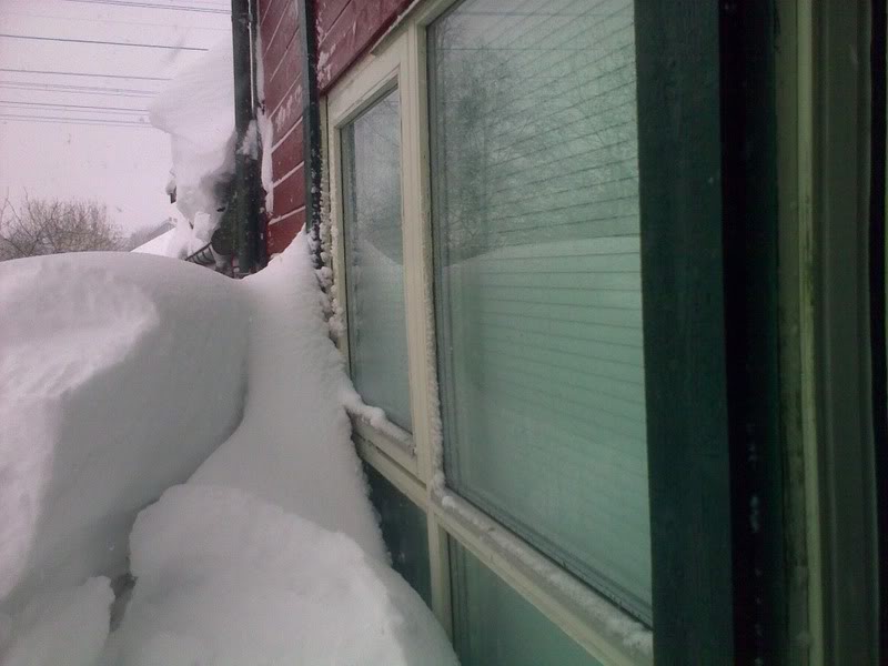 Name:  27022010552.jpg
Views: 1917
Size:  59.3 KB