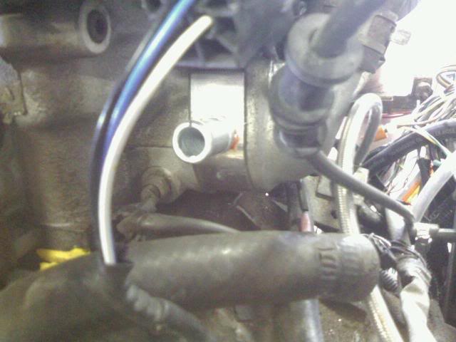 Name:  0225101304b.jpg
Views: 270
Size:  35.2 KB