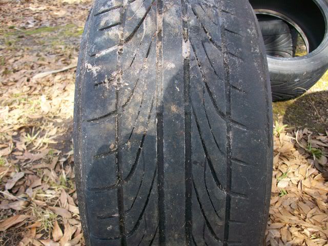 Name:  100_0408.jpg
Views: 141
Size:  111.5 KB