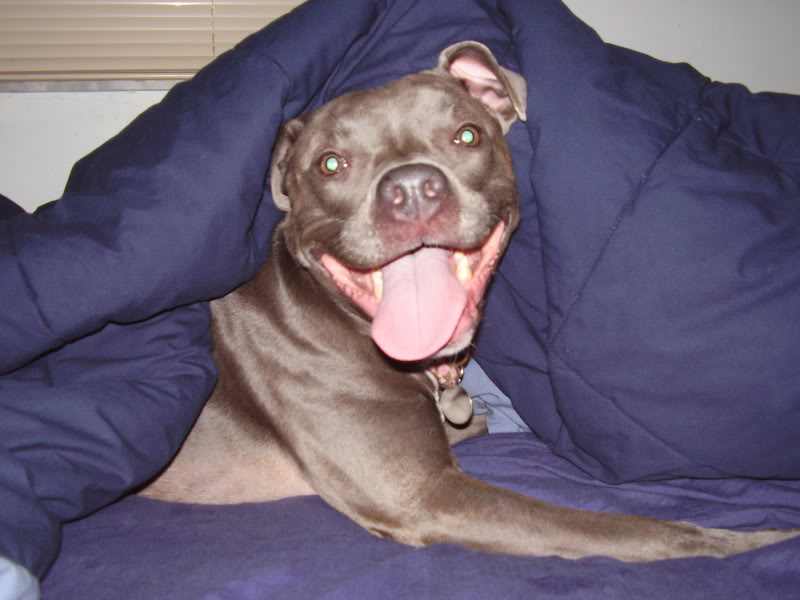 Name:  P5020011.jpg
Views: 113
Size:  65.4 KB