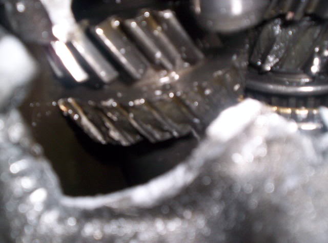 Name:  100_1251.jpg
Views: 91
Size:  32.8 KB