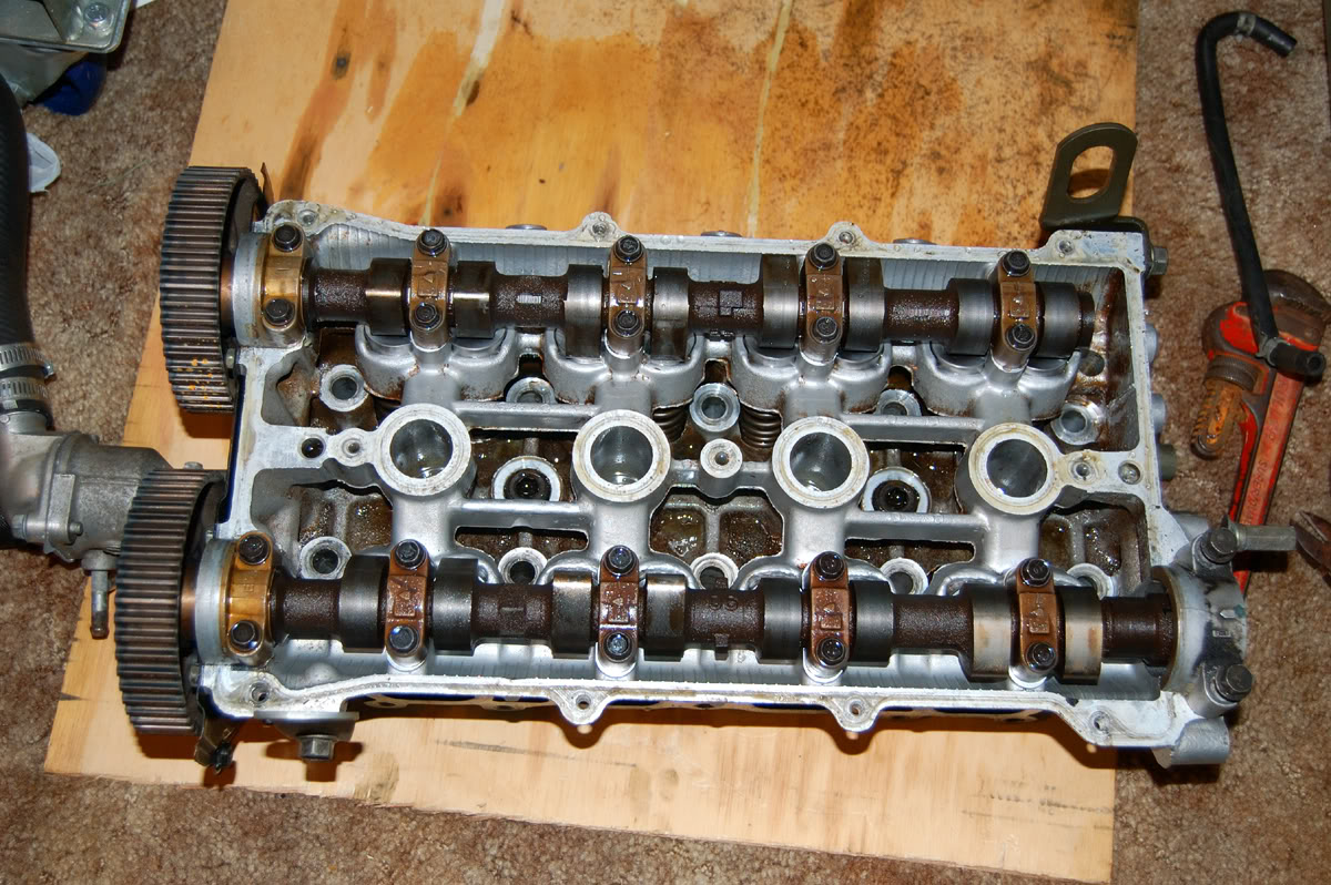 Name:  Lasthead.jpg
Views: 202
Size:  254.3 KB