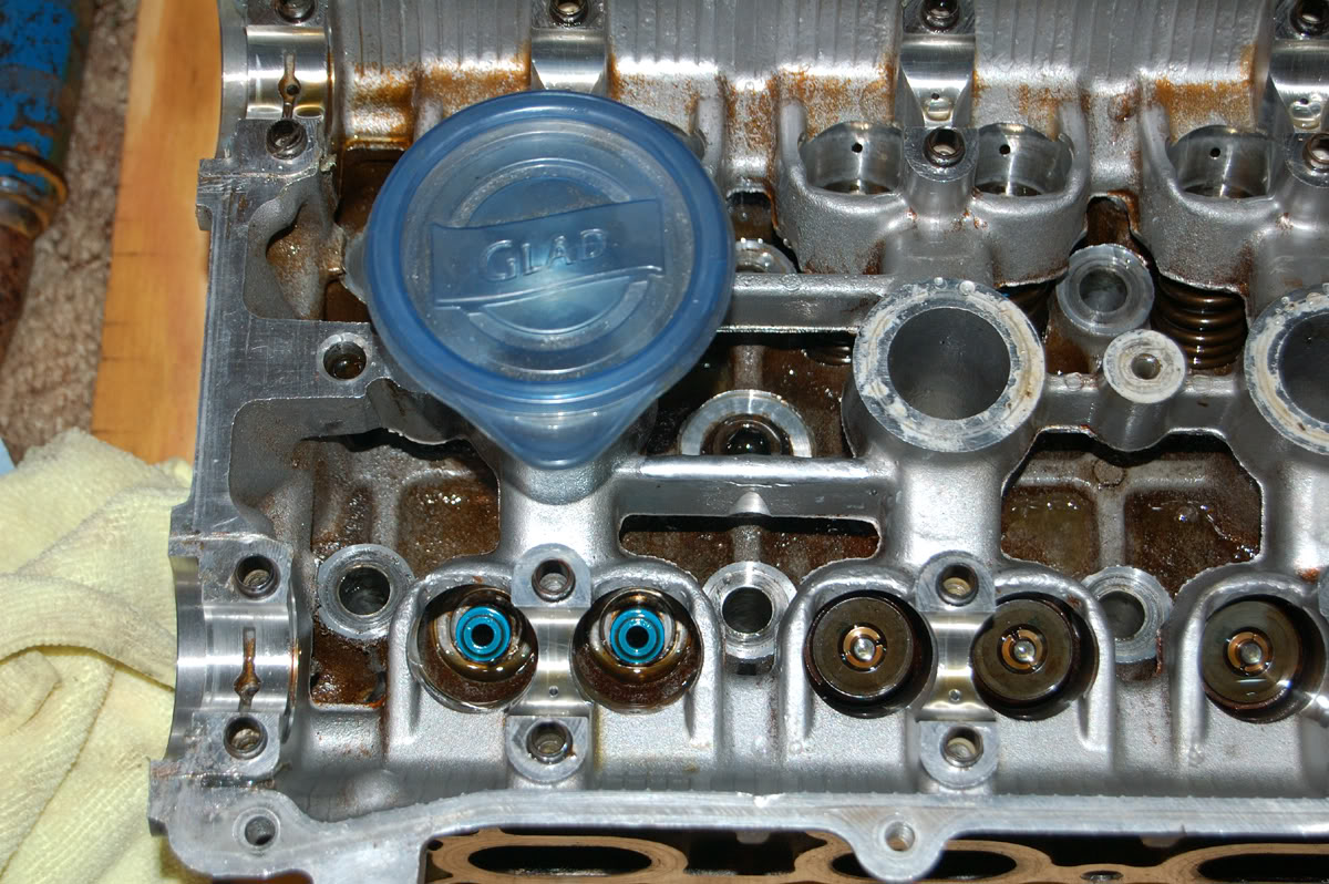 Name:  Lasthead4.jpg
Views: 178
Size:  241.2 KB