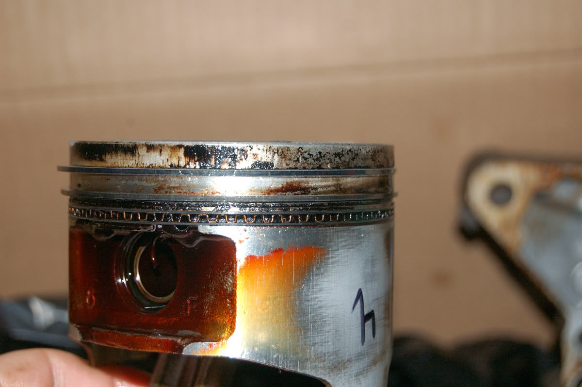 Name:  NewM18.jpg
Views: 179
Size:  124.1 KB