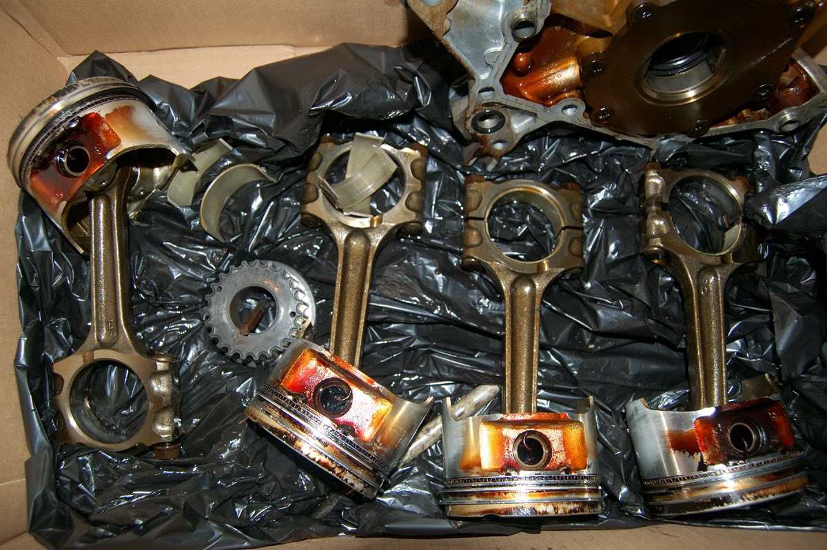 Name:  NewM21.jpg
Views: 196
Size:  250.7 KB