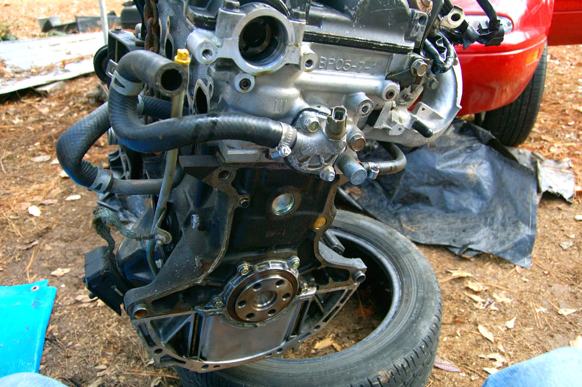 Name:  NewM6.jpg
Views: 211
Size:  237.1 KB