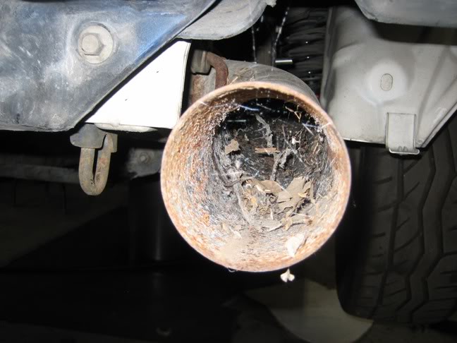 Name:  IMG_0980.jpg
Views: 312
Size:  53.6 KB