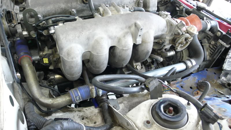 Name:  P1020296.jpg
Views: 289
Size:  86.4 KB