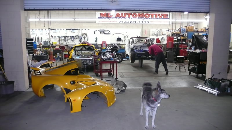 Name:  P1020205.jpg
Views: 504
Size:  76.6 KB