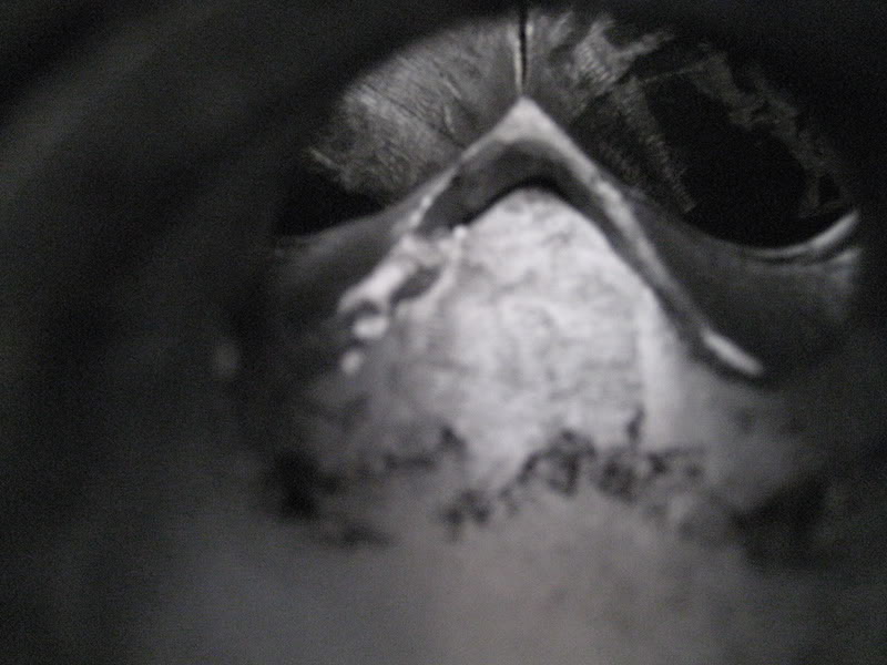 Name:  271.jpg
Views: 520
Size:  64.3 KB