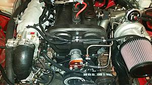 More Money Than Brains-20171209_113625.jpg