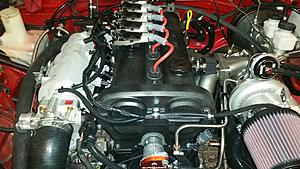 More Money Than Brains-20171209_113630.jpg