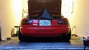 More Money Than Brains-20171217_174523.jpg