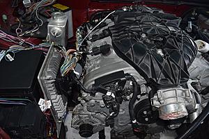 The Portabull LFX Build-harness2.jpg