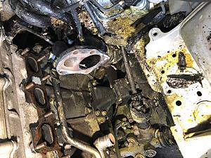 Swanpuppy's low boost NB build-img_2716-1.jpg