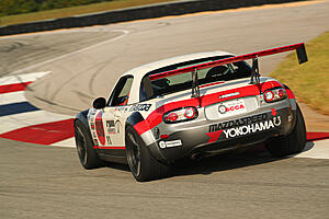 NC now a better option than NA/NB?-20190927-bq5i8107.jpg