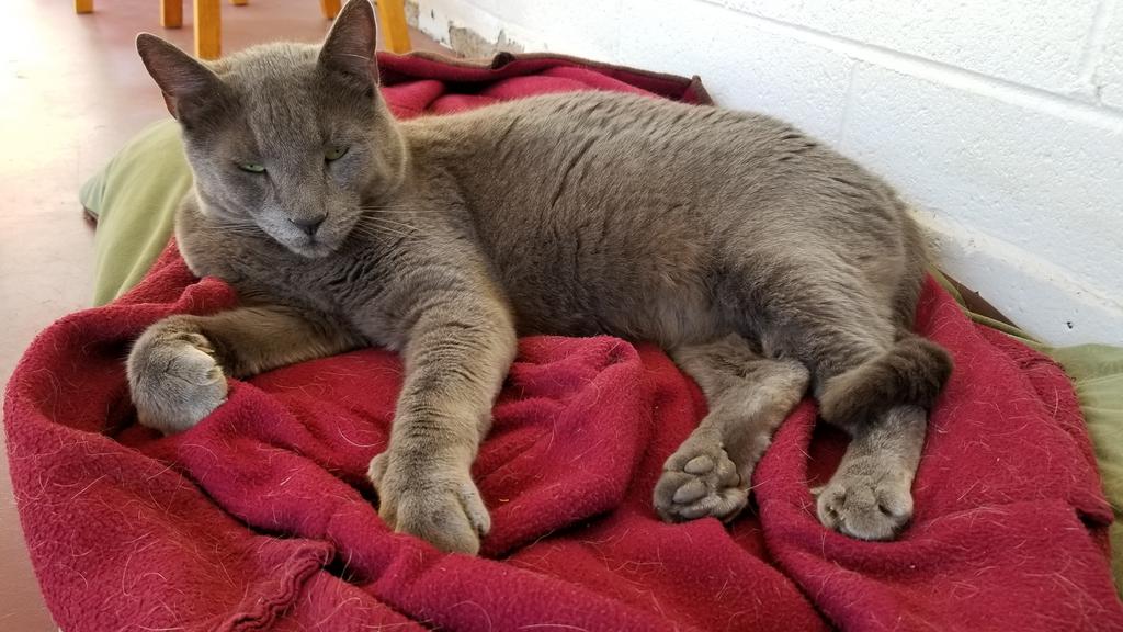 Name:  Lv6Hptc.jpg
Views: 614
Size:  96.7 KB