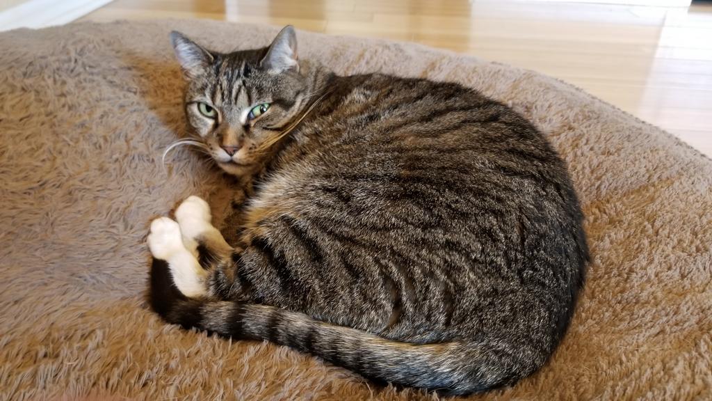 Name:  fBgJCQX.jpg
Views: 619
Size:  116.8 KB