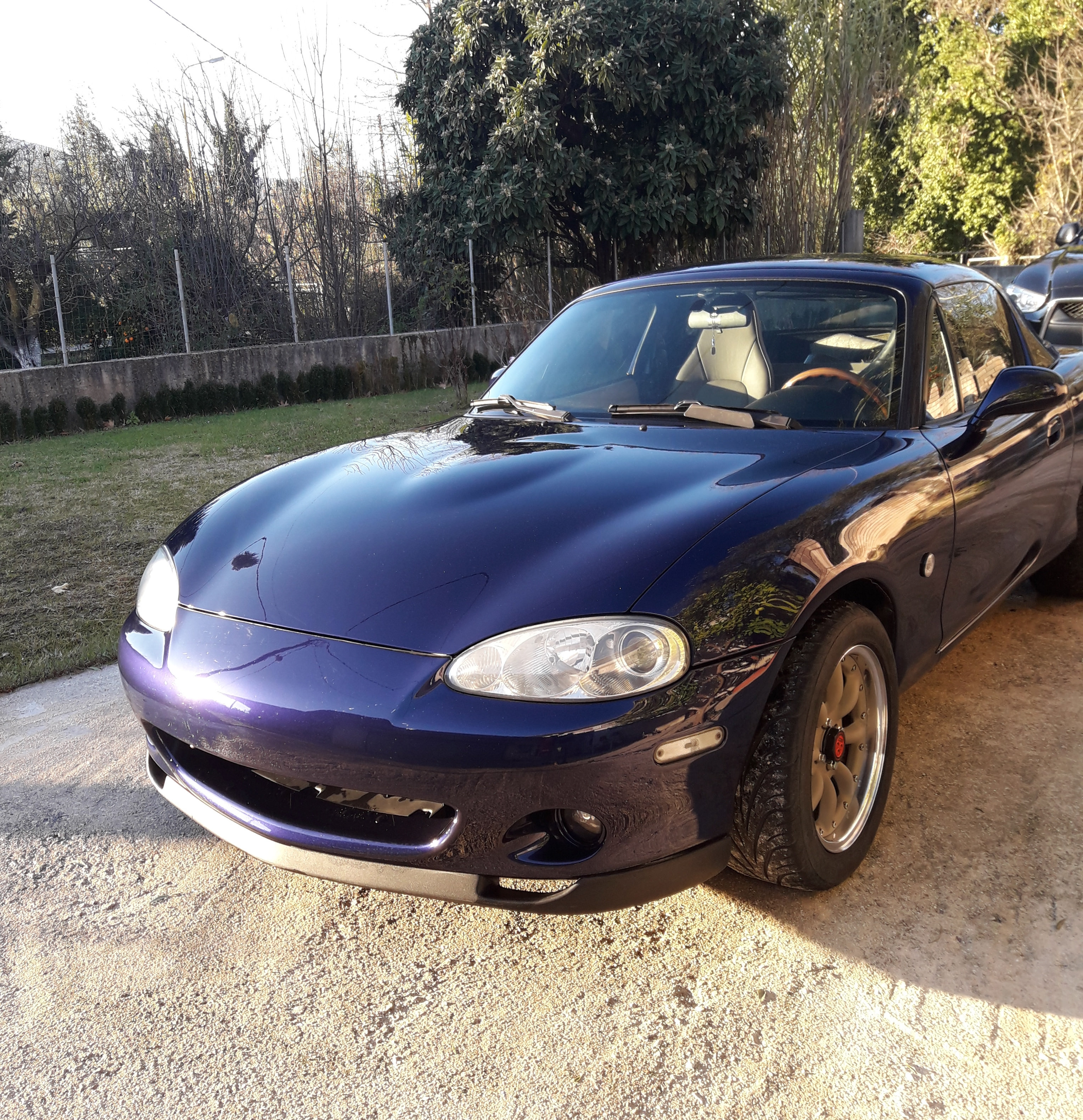 Name:  pPsguy5.jpg
Views: 2100
Size:  2.49 MB