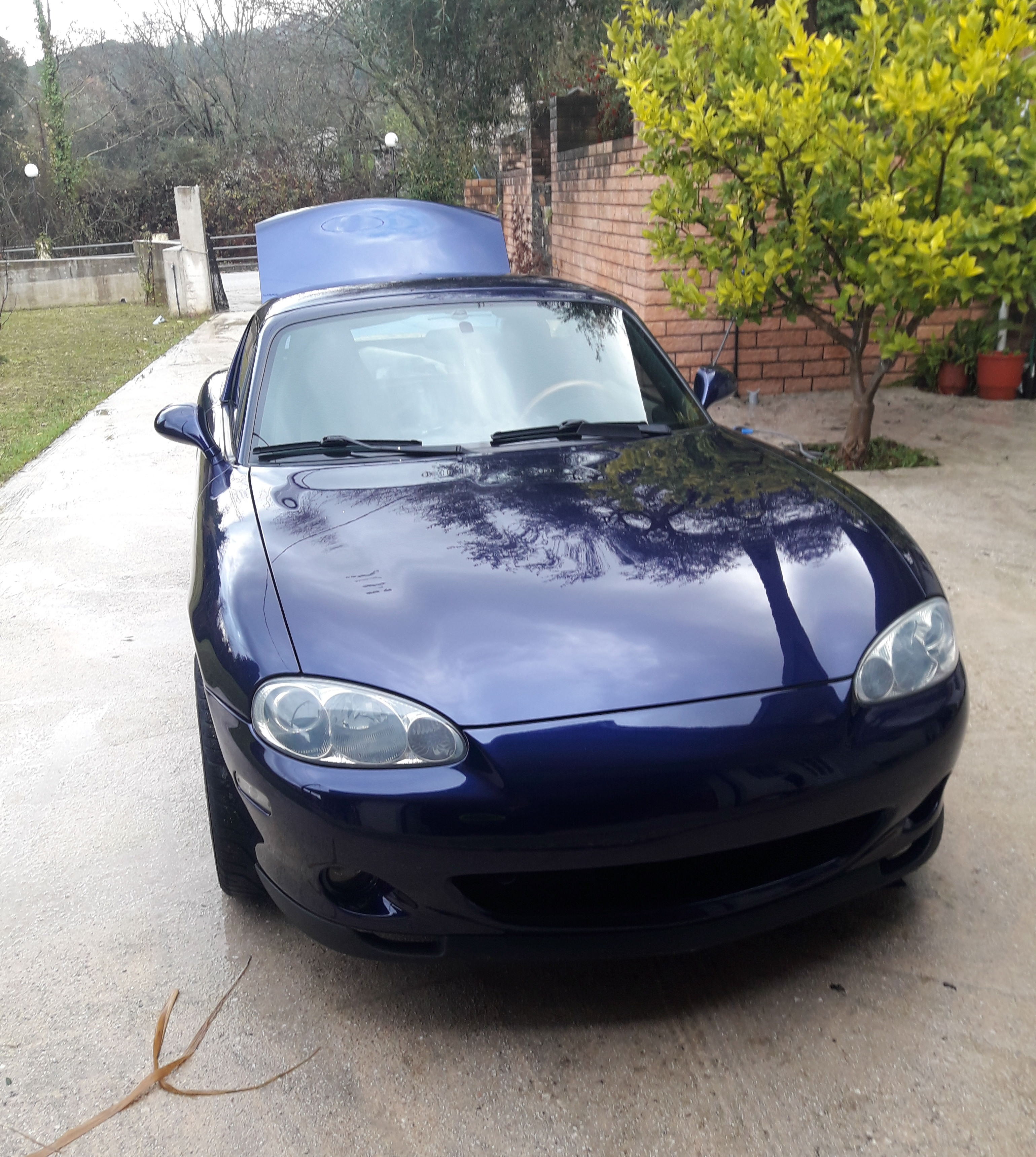 Name:  7DM2ToK.jpg
Views: 2066
Size:  1.38 MB