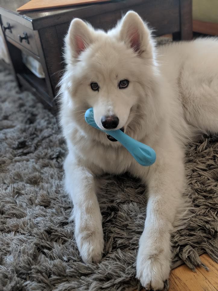 Name:  BaVilWO.jpg
Views: 1705
Size:  95.5 KB