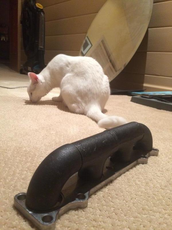 Name:  u5WT9yo.jpg
Views: 645
Size:  51.4 KB