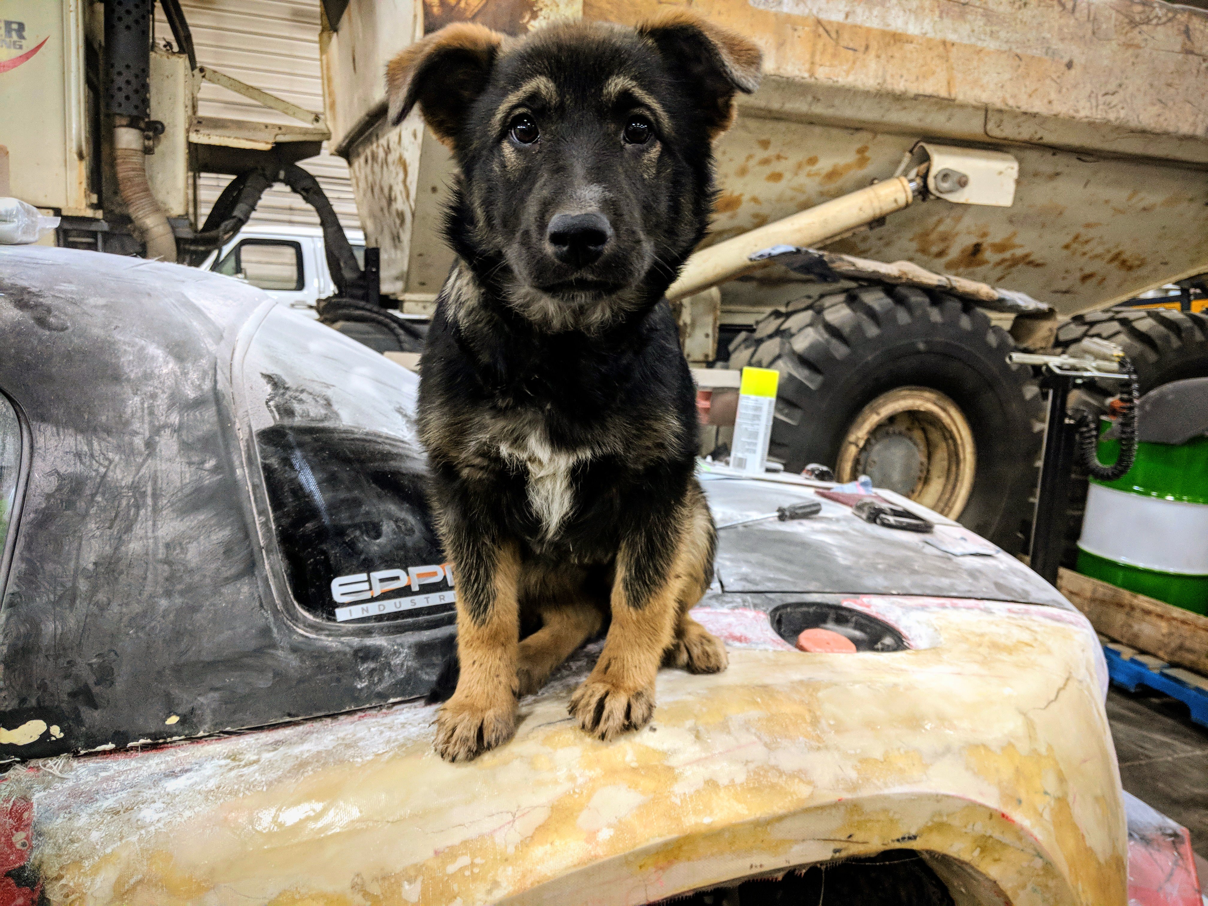 Name:  DTbBrwm.jpg
Views: 39
Size:  2.64 MB