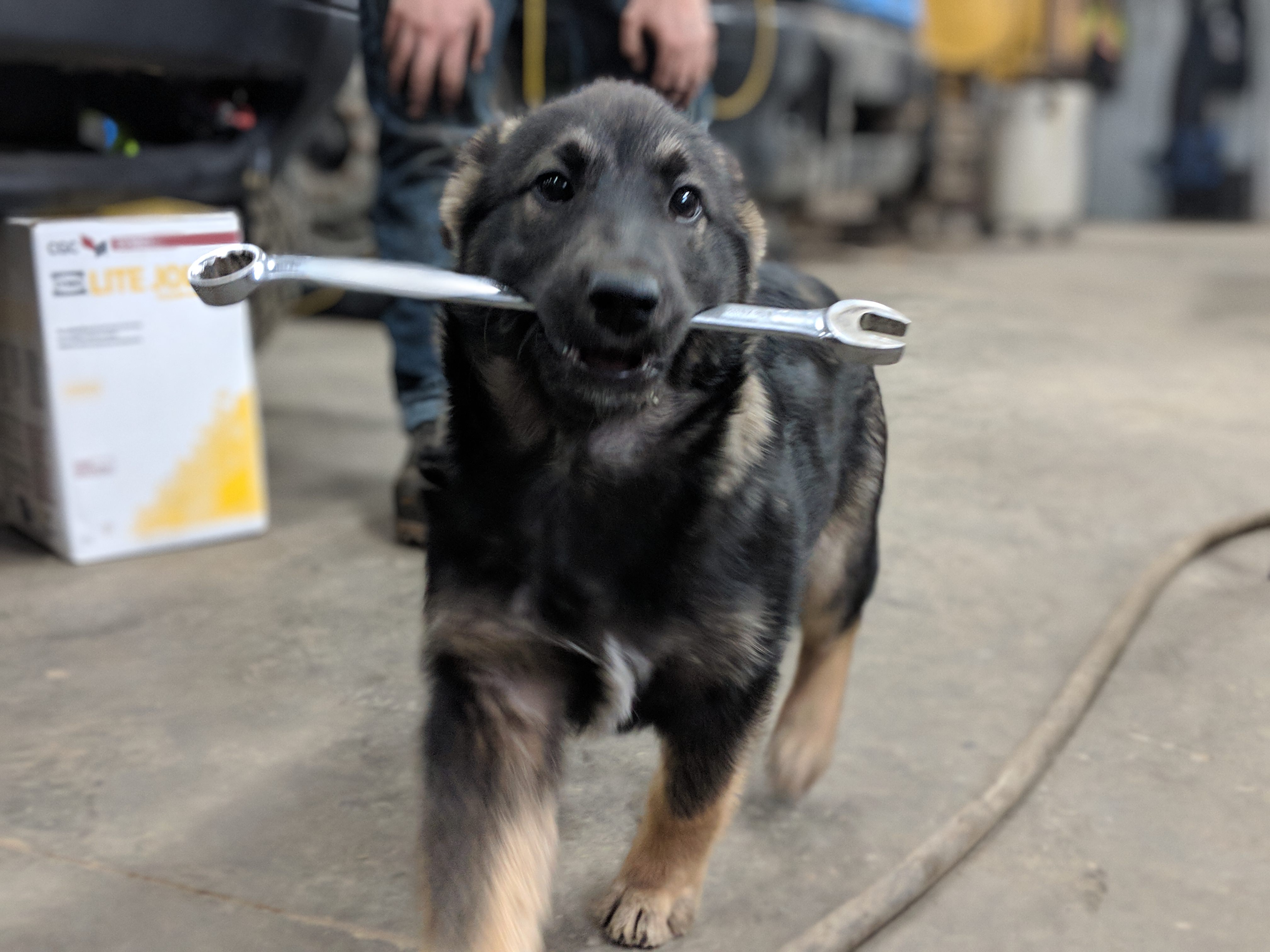 Name:  noD011u.jpg
Views: 42
Size:  883.6 KB