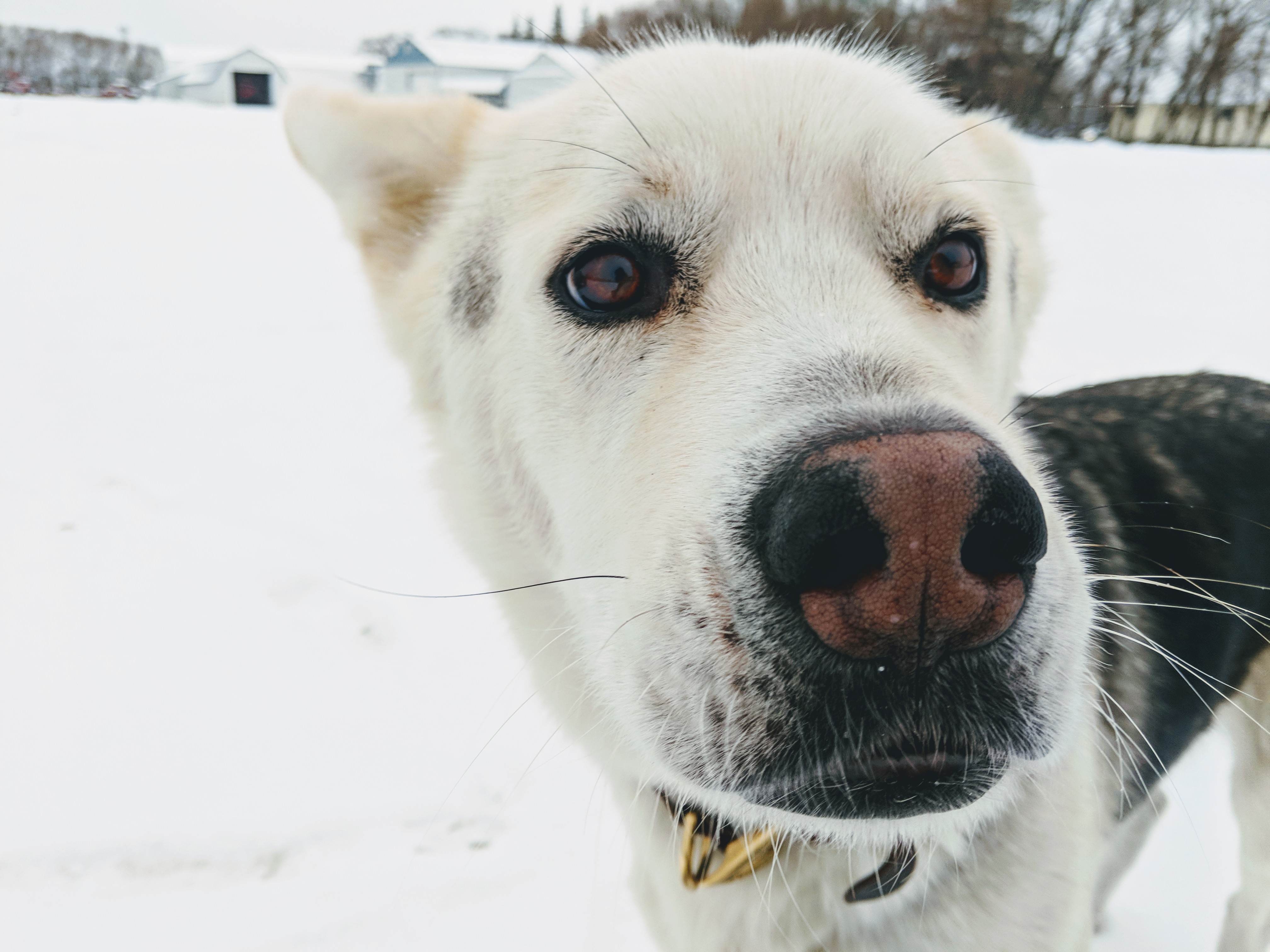 Name:  2Sulp5v.jpg
Views: 48
Size:  1.06 MB