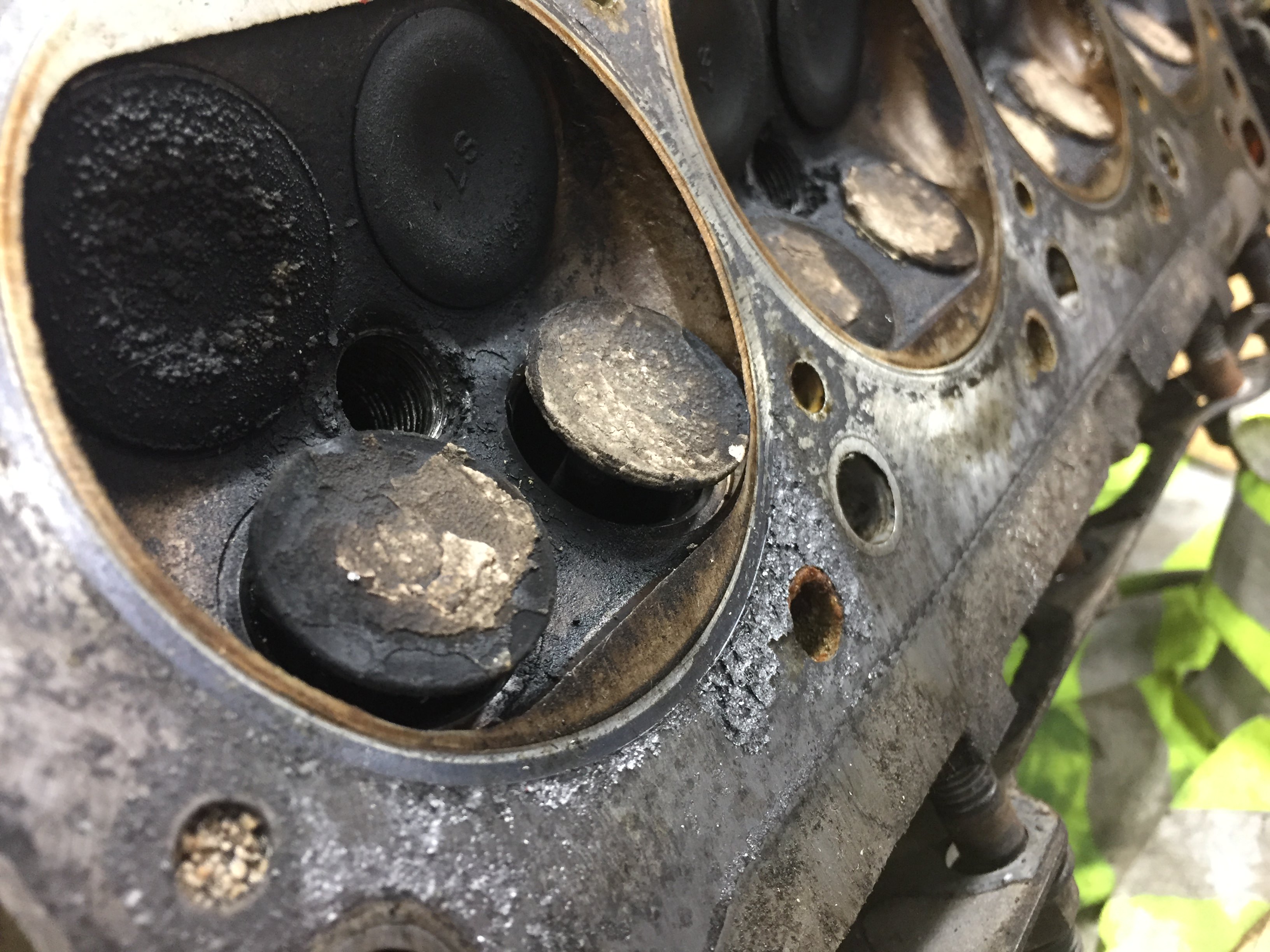 Name:  zs44ZRc.jpg
Views: 52
Size:  977.7 KB