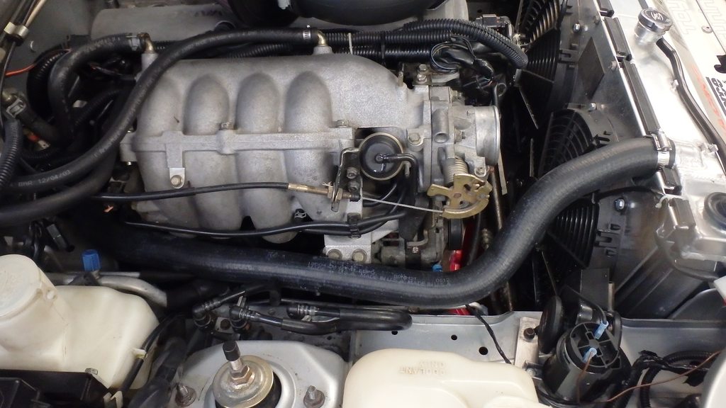 Name:  tqy9fY7h.jpg
Views: 38
Size:  106.7 KB