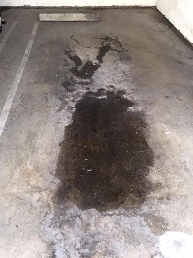 Name:  kx8Q1CQ.jpg
Views: 67
Size:  73.2 KB