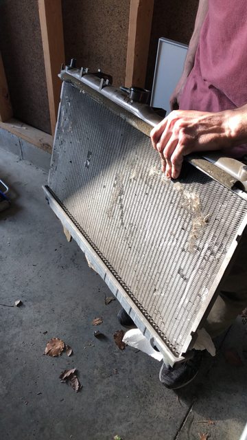 Name:  jjoYArJl.jpg
Views: 447
Size:  57.7 KB