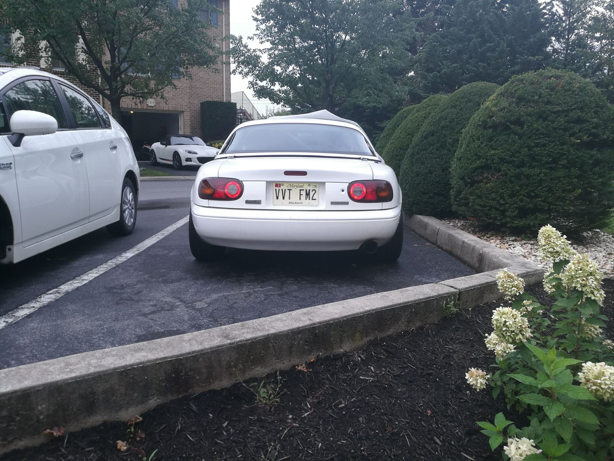 Name:  9jcToAL.jpg
Views: 274
Size:  461.9 KB