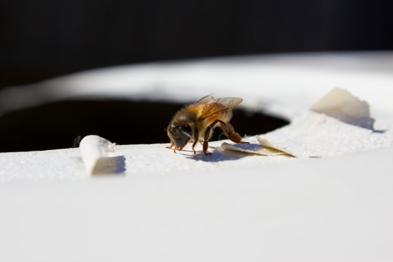 Name:  ylK8HWX.jpg
Views: 370
Size:  31.0 KB