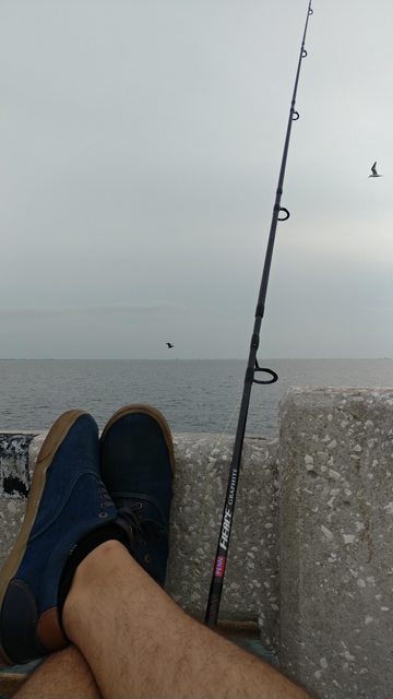 Name:  3YFIcVLl.jpg
Views: 37
Size:  26.6 KB