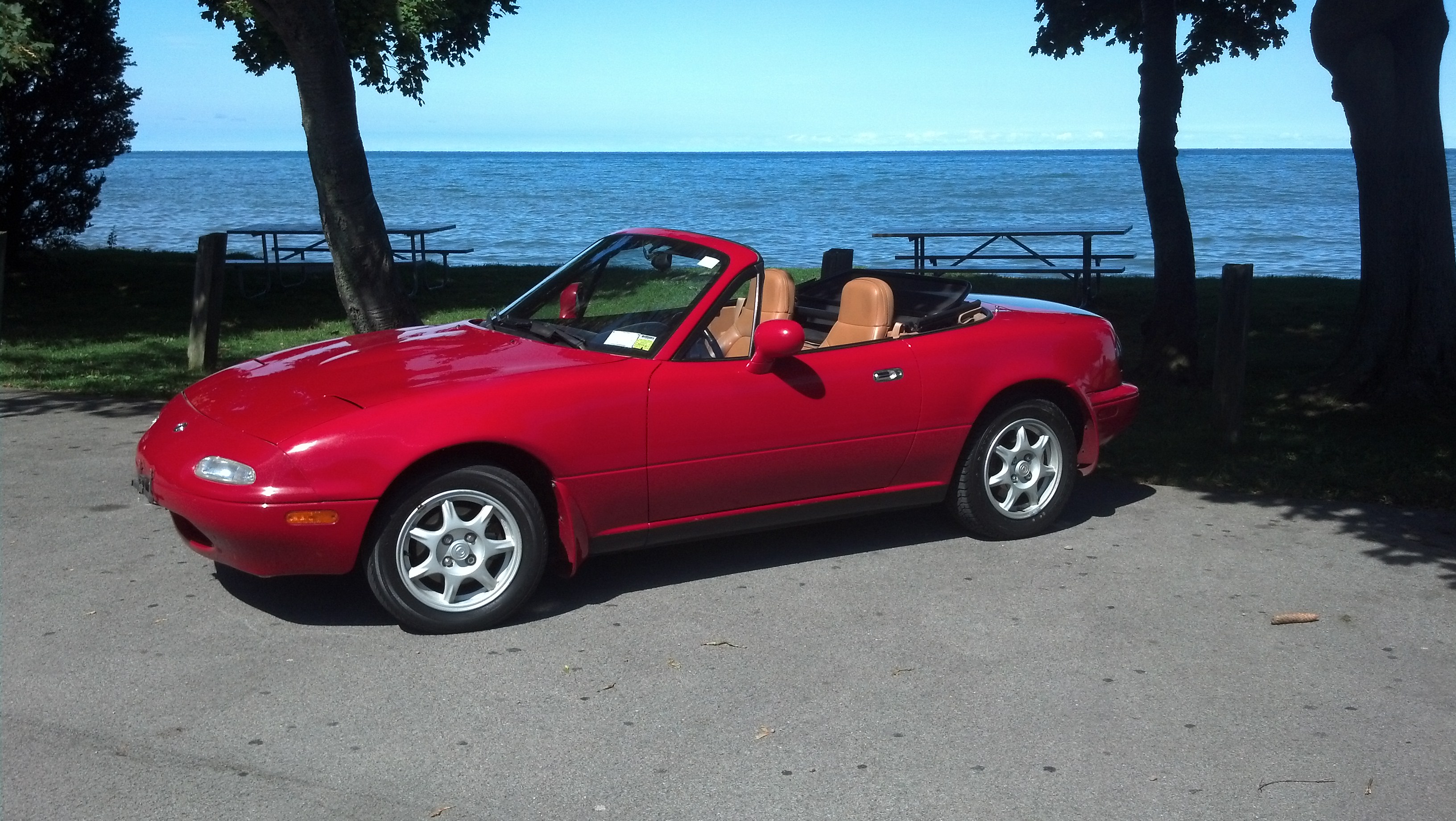 Name:  jjsoNVm.jpg
Views: 90
Size:  1.12 MB