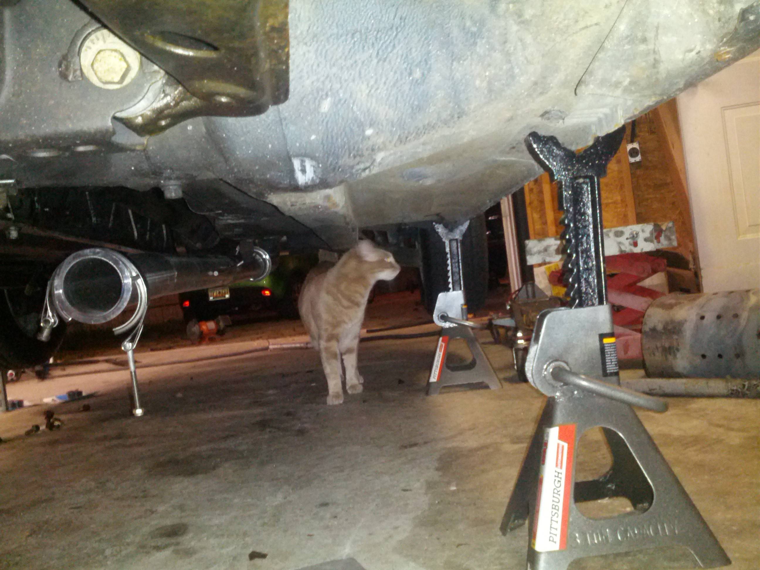 Name:  X9v4zqj.jpg
Views: 520
Size:  390.7 KB