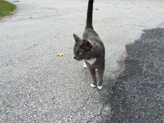 Name:  bzKVuByl.png
Views: 57
Size:  94.9 KB