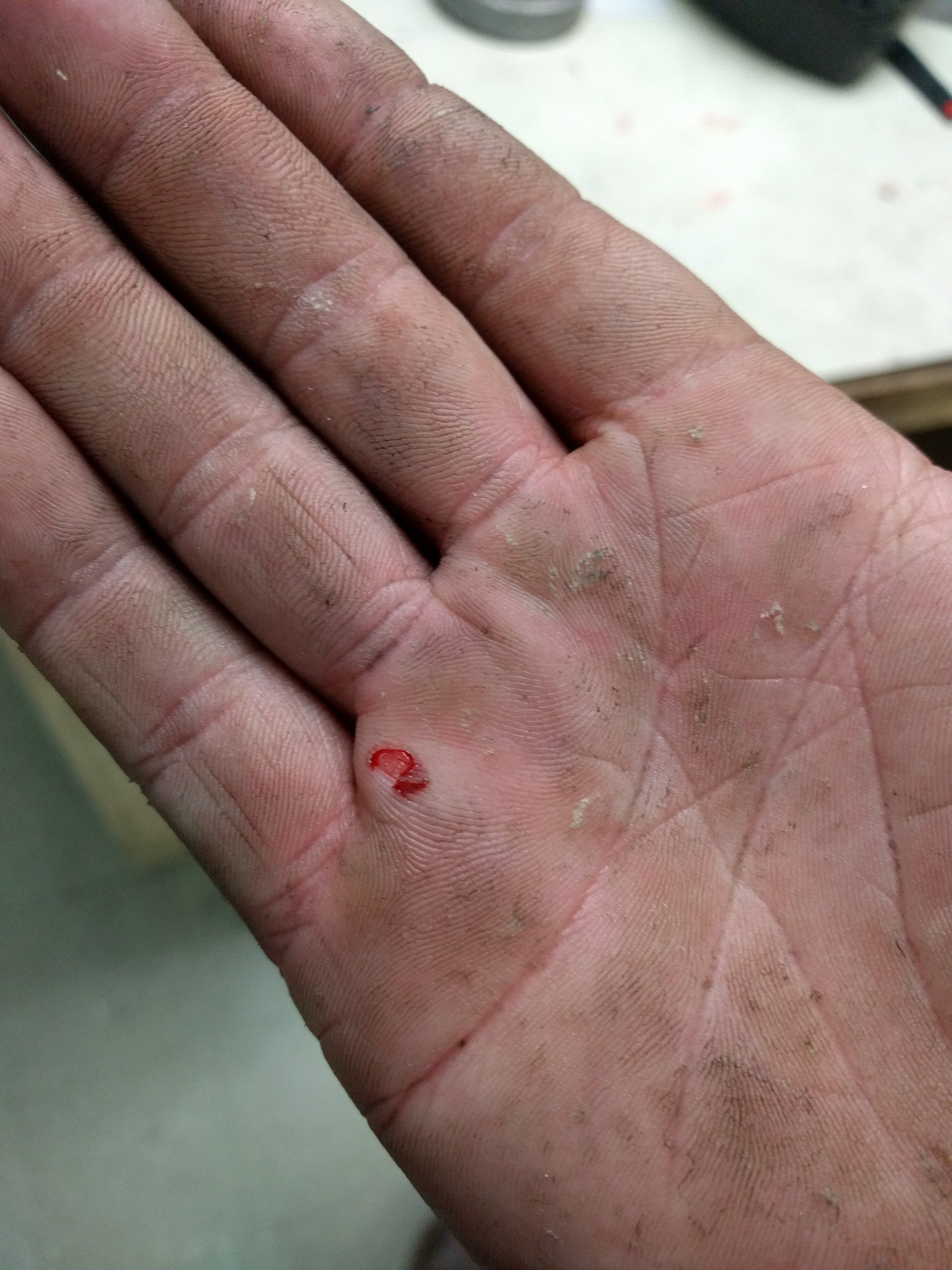 Name:  dDWolFL.jpg
Views: 44
Size:  1.34 MB