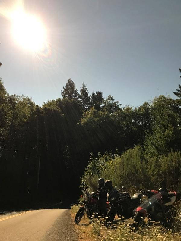 Name:  gjfltyy.jpg
Views: 40
Size:  77.3 KB