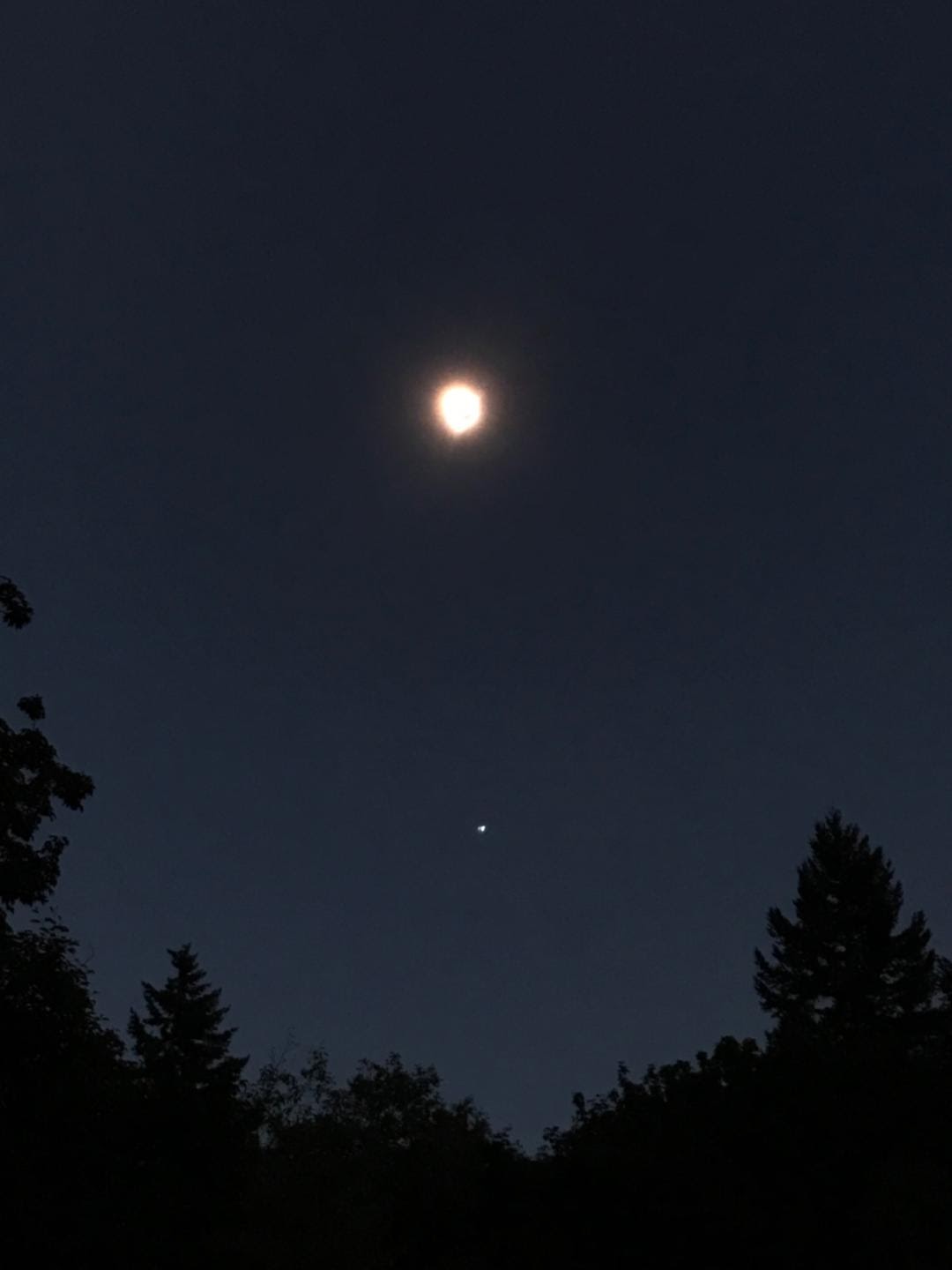 Name:  yhhyfnV.jpg
Views: 41
Size:  38.3 KB