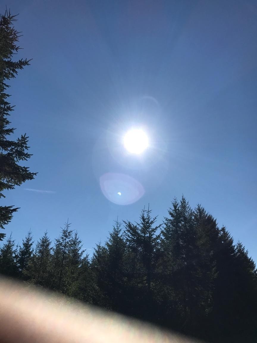 Name:  nG78wws.jpg
Views: 40
Size:  86.0 KB