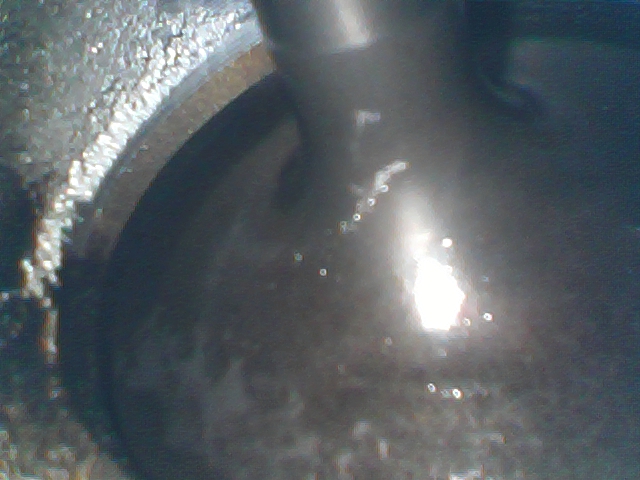 Name:  NyEpif5.jpg
Views: 26
Size:  209.9 KB