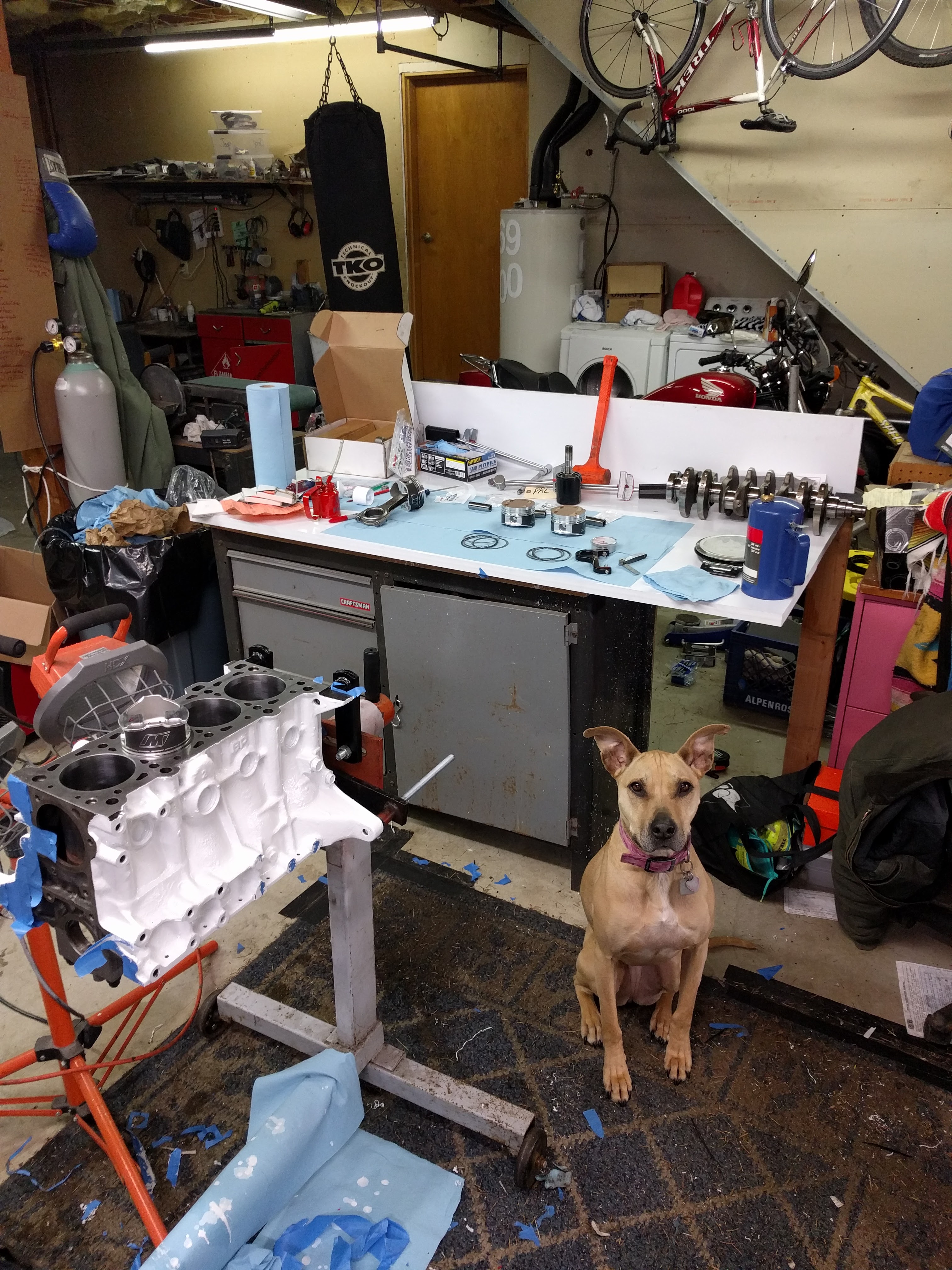 Name:  ybA7Qxc.jpg
Views: 43
Size:  2.09 MB