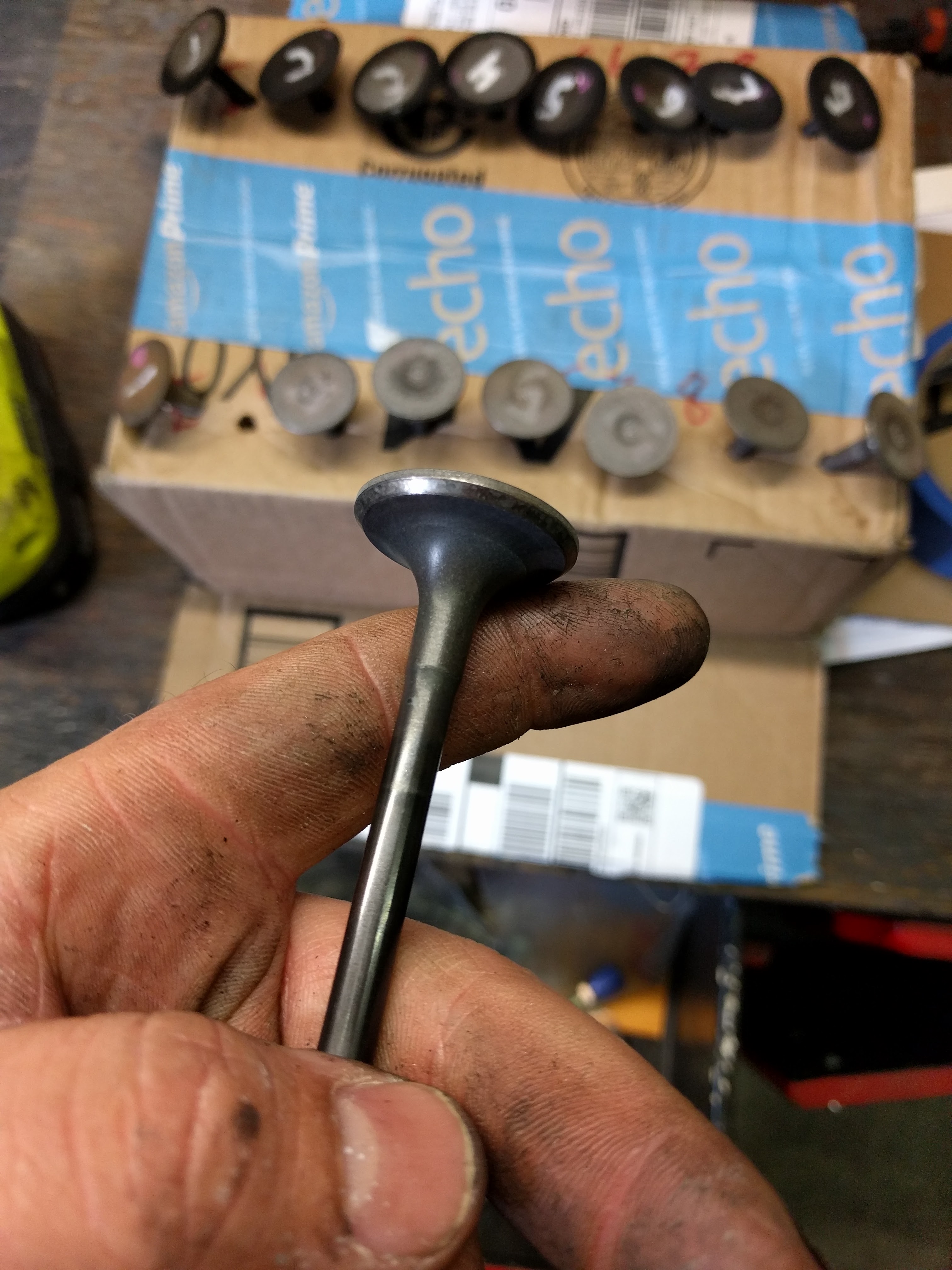 Name:  f6MkTLi.jpg
Views: 35
Size:  1.11 MB