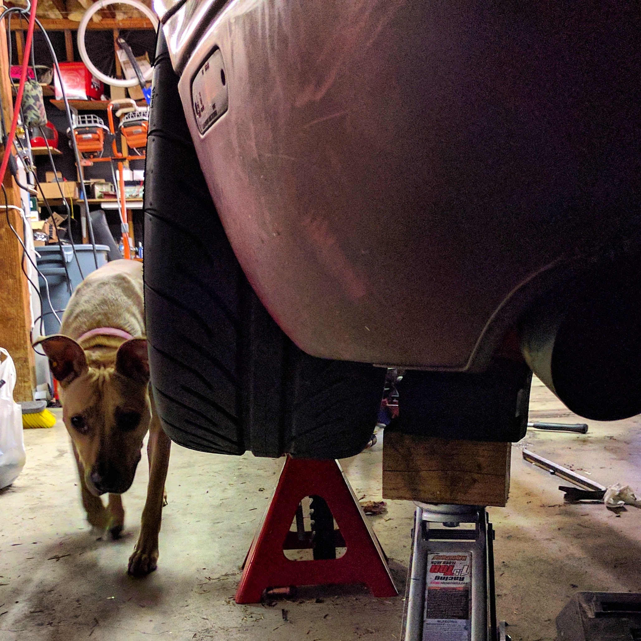 Name:  oXmLdC4.jpg
Views: 65
Size:  1.15 MB