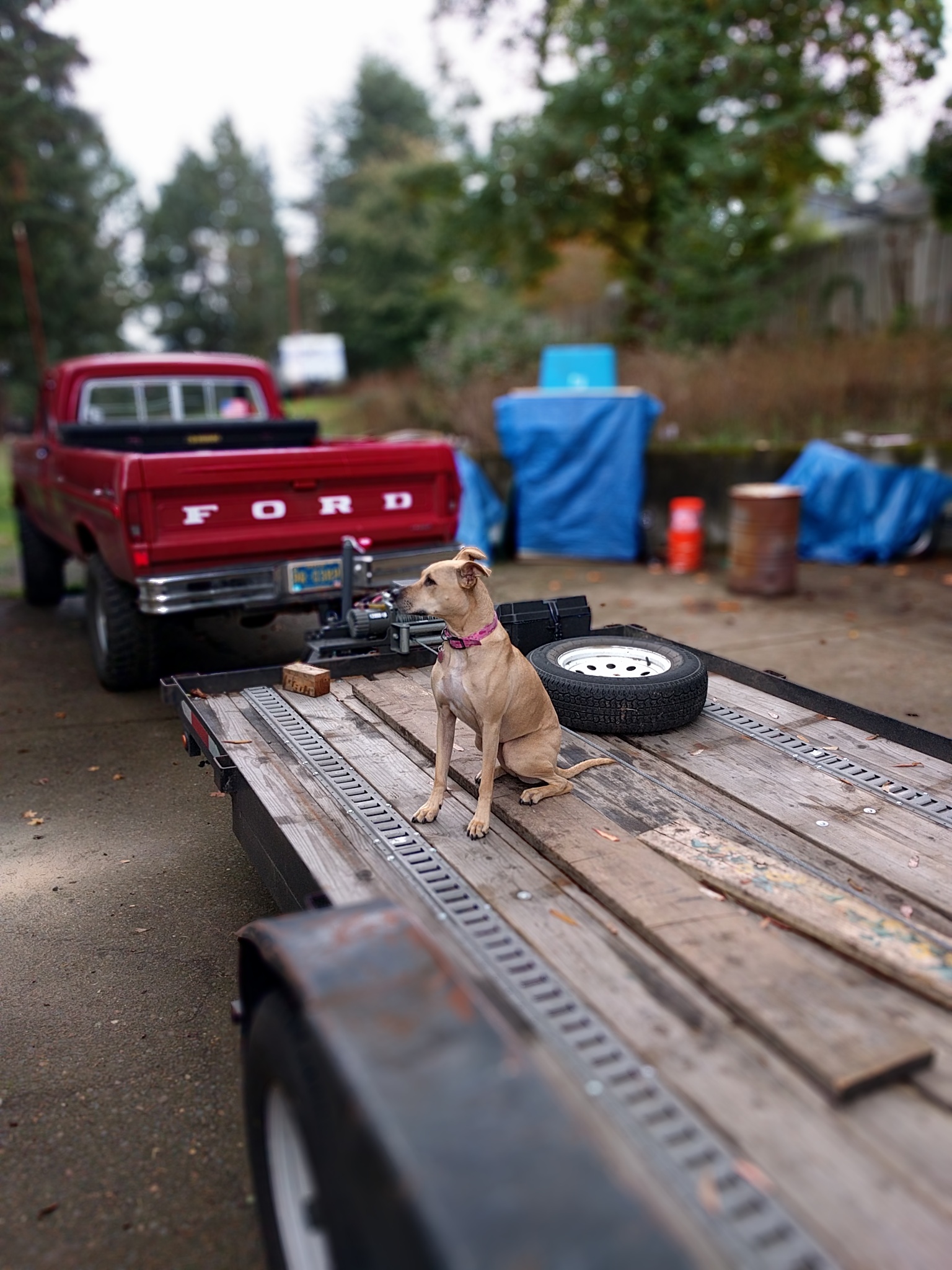 Name:  sVO4Uyq.jpg
Views: 56
Size:  684.0 KB