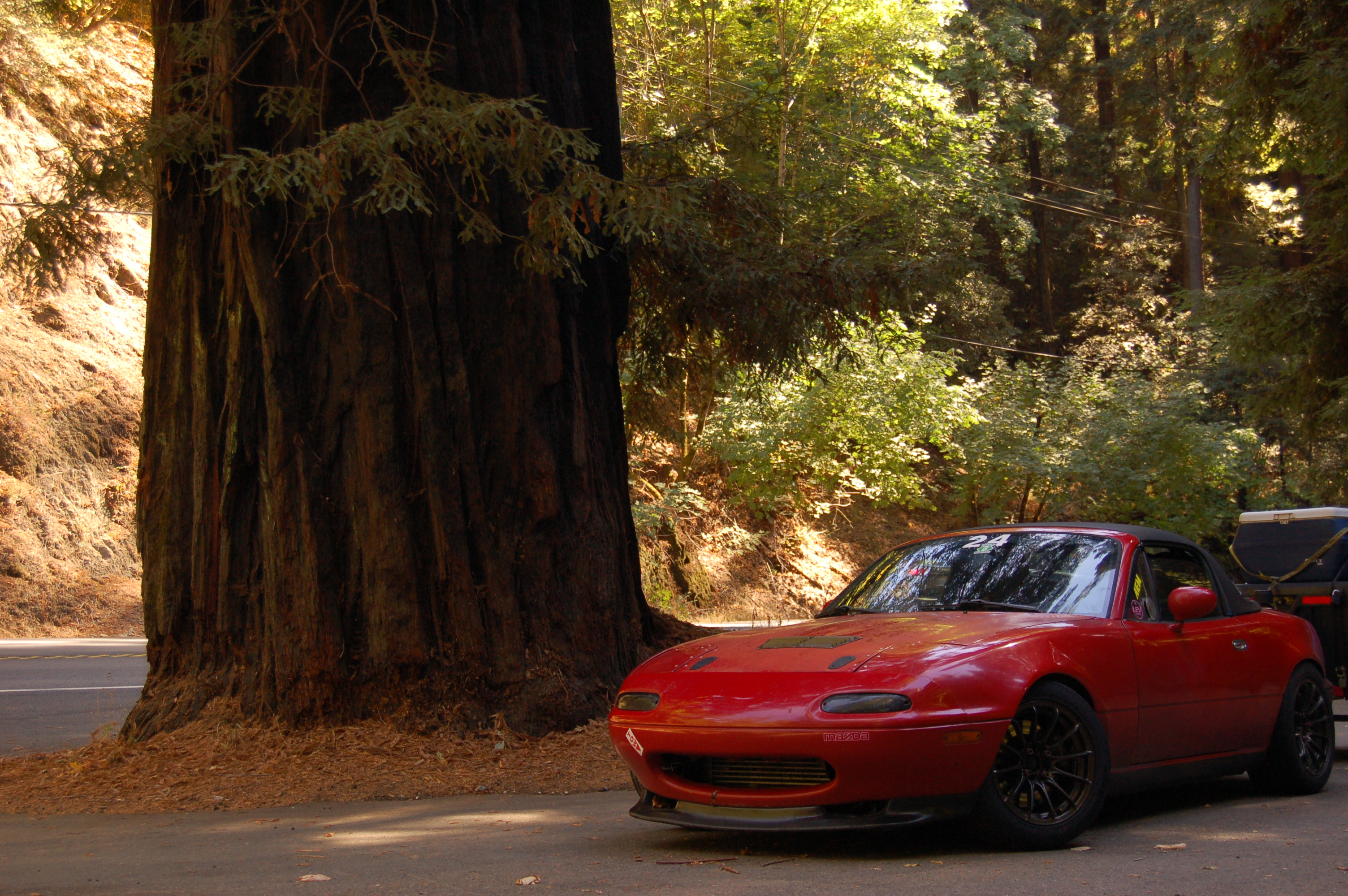 Name:  BDn6n4y.jpg
Views: 48
Size:  3.11 MB