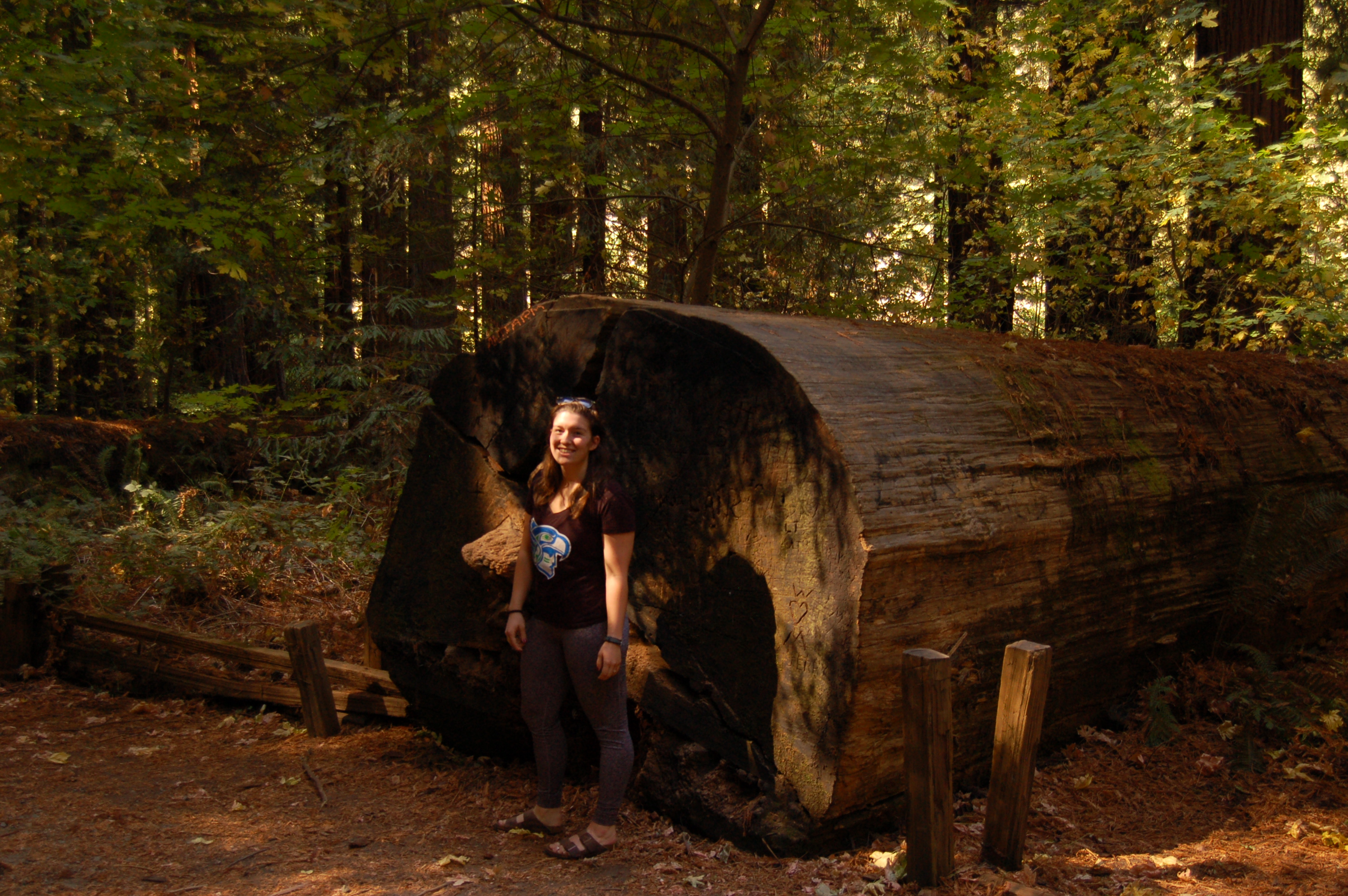 Name:  pGIOIIe.jpg
Views: 47
Size:  2.81 MB